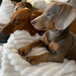 Meet your Posher, Melanie